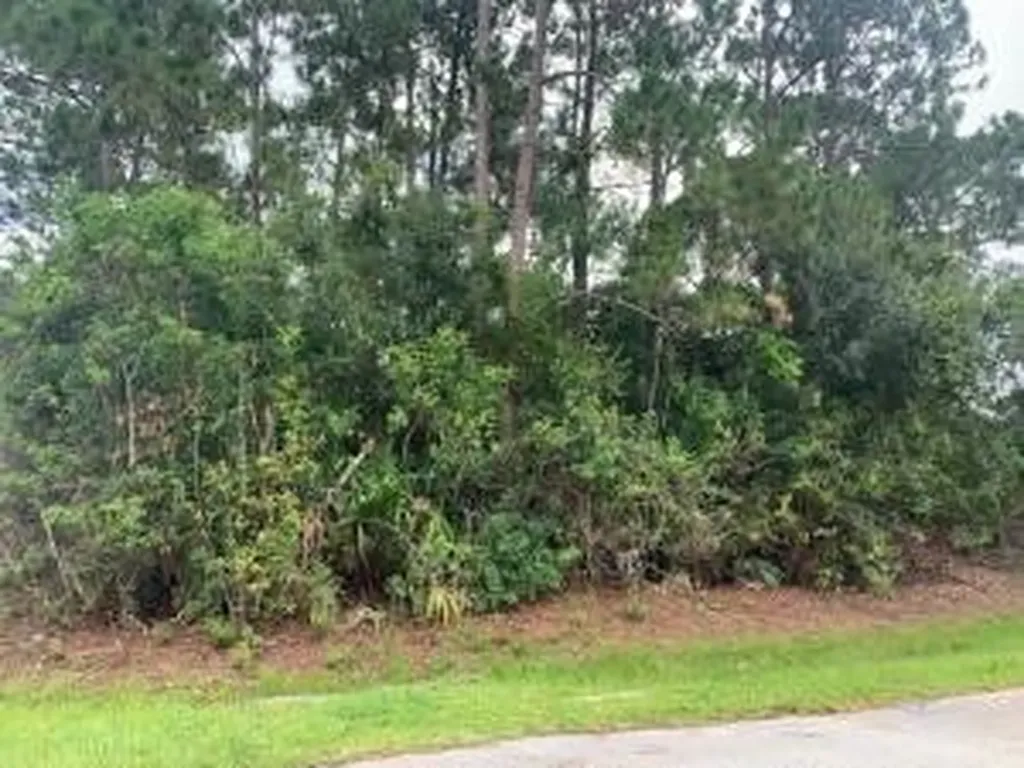 3549 SW Vollmer Street Port St. Lucie FL 34953