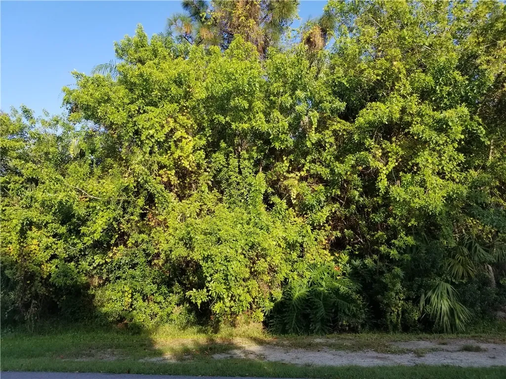 1007 Gardenia Street Sebastian FL 32958