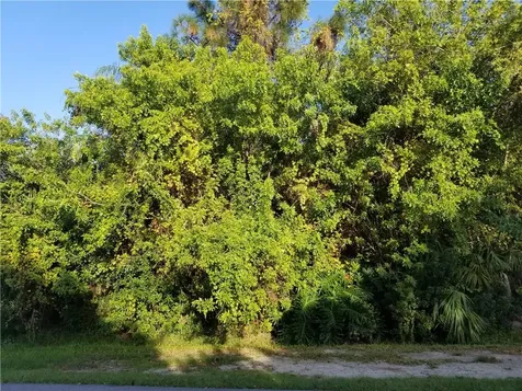 1007 Gardenia Street Sebastian FL 32958