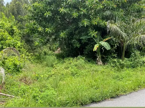 9470 Hibiscus Avenue Micco FL 32976