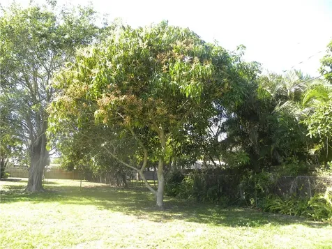 1636 21st Street SW Vero Beach FL 32962