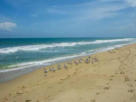 4800 Highway A1a Highway Vero Beach FL 32963