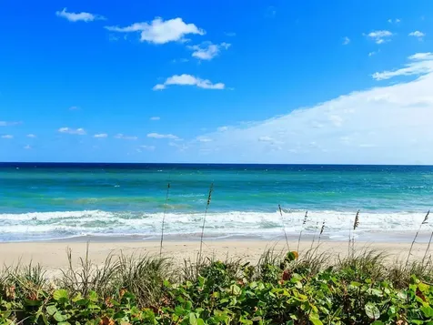 8880 N Sea Oaks Way Vero Beach FL 32963