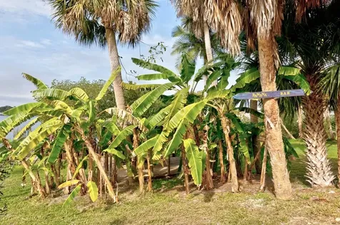 12995 83rd Avenue Sebastian FL 32958