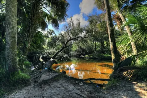 973 Starflower Avenue Sebastian FL 32958