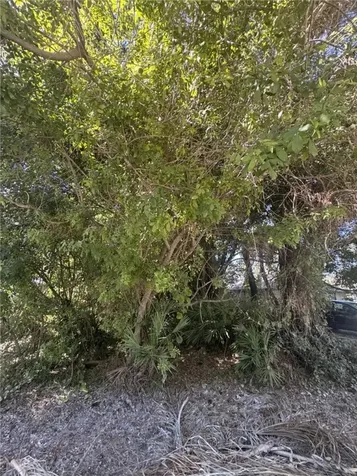 1115 15th Avenue SW Vero Beach FL 32962