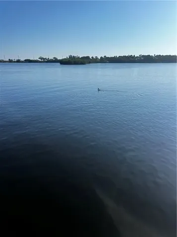 9680 Riverview Drive Micco FL 32976