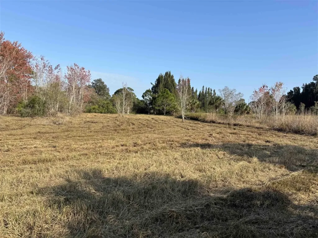 0 88th Street Sebastian FL 32958