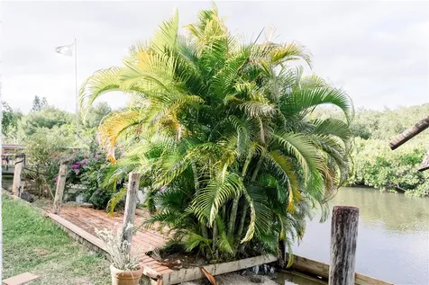 5200 95th Street Sebastian FL 32958