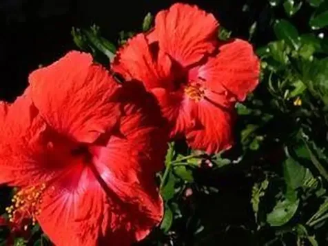 1815 Mooringline Drive Vero Beach FL 32963