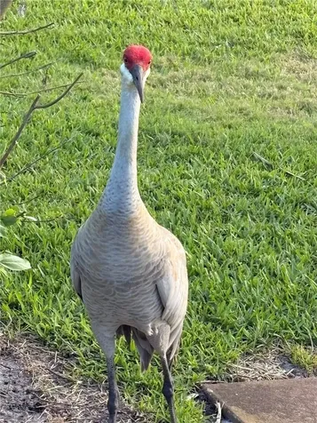 635 Fox Run SW Vero Beach FL 32962