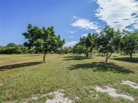 13820 99th Street Fellsmere FL 32948