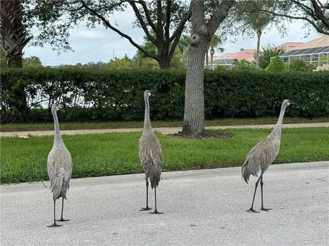 4997 Corsica Square Vero Beach FL 32967