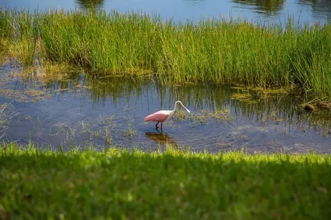 1510 Oak Harbor Boulevard Vero Beach FL 32967