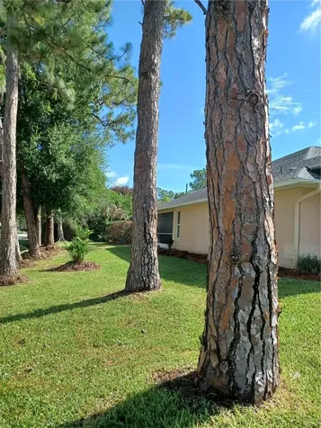 793 Tuxedo Terrace Sebastian FL 32958