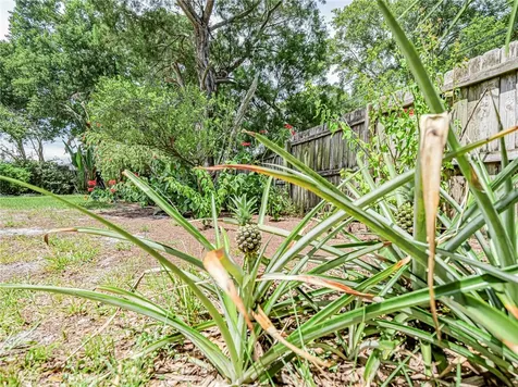 425 Banyan Street Sebastian FL 32958