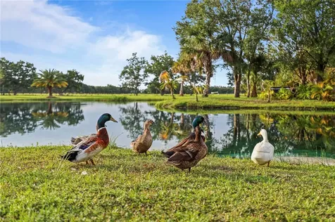 5250 21st Street SW Vero Beach FL 32968