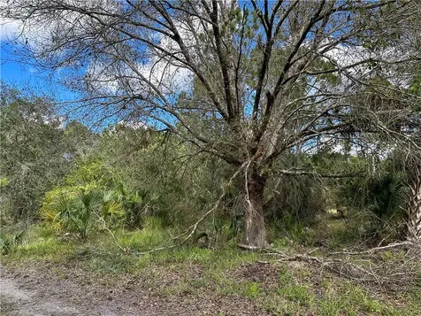 0 85th Street Fellsmere FL 32948