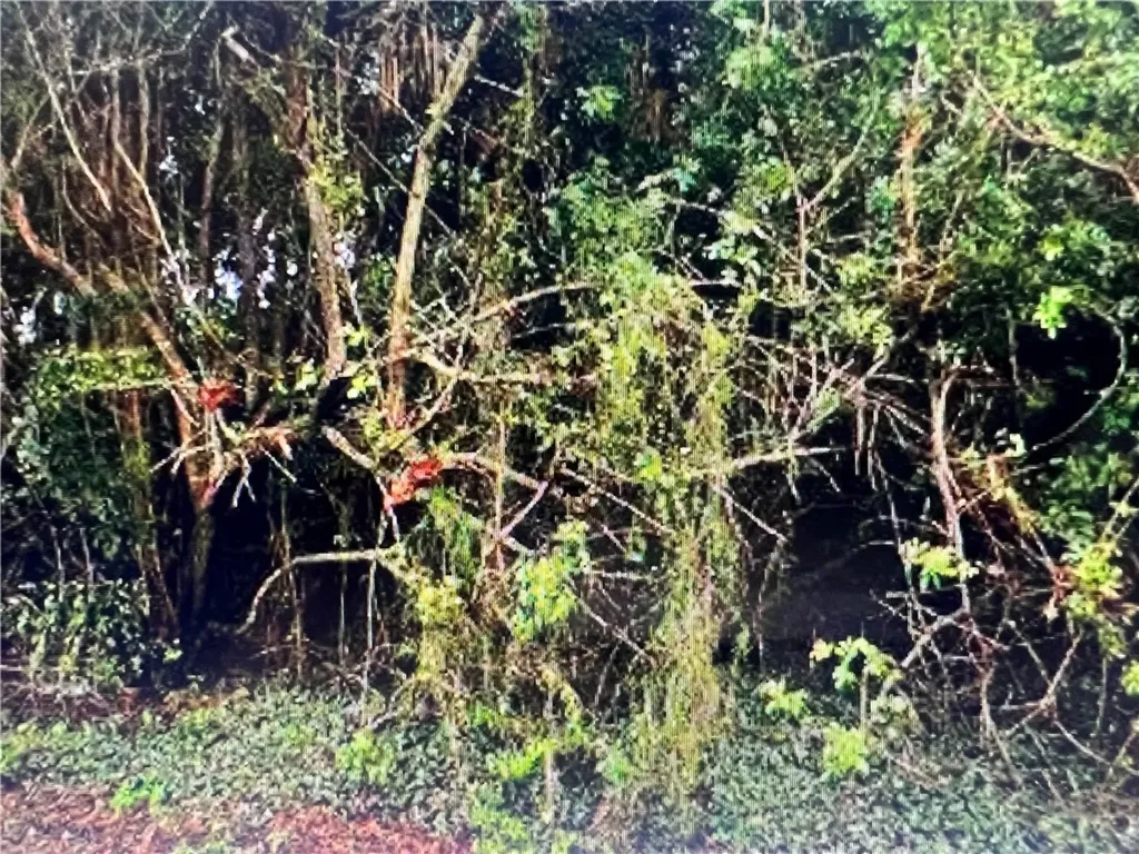 323 13th Place SW Vero Beach FL 32962