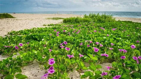2310 Atlantic Beach Boulevard Hutchinson Island FL 34949
