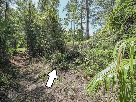 1290 10th Court SW Vero Beach FL 32962