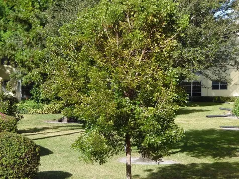 1100 Ponce De Leon Circle Vero Beach FL 32960