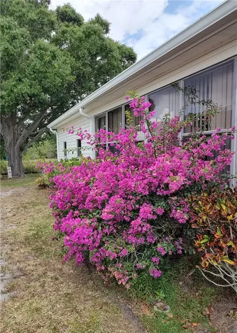 451 Papaya Circle Barefoot Bay FL 32976