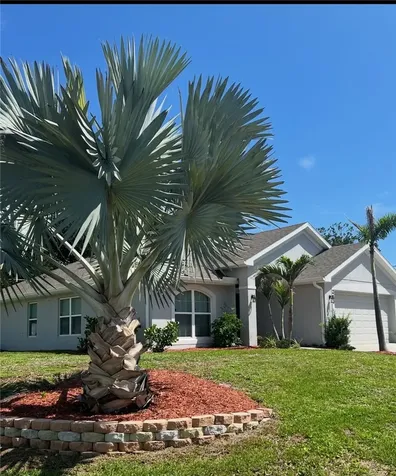 261 Midvale Terrace Sebastian FL 32958