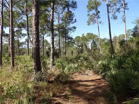 00 Bald Cypress Trail Fort Pierce FL 34945