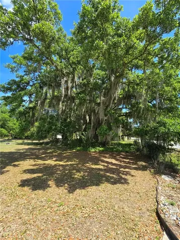 144 N Elm Street Fellsmere FL 32948