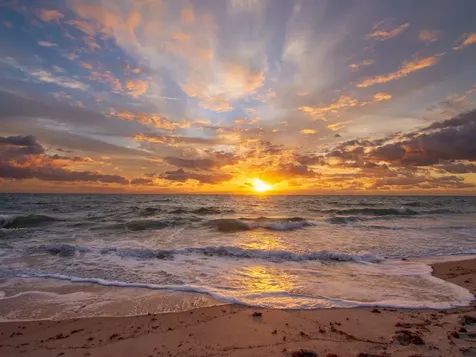 4049 Ocean Drive Vero Beach FL 32963