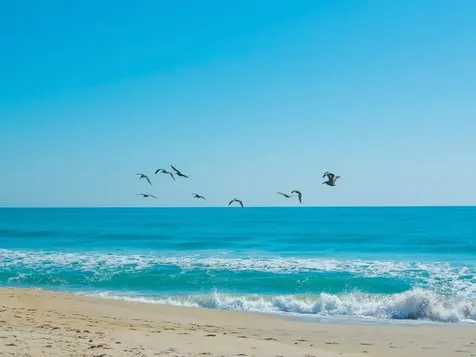 5601 Highway A1a Vero Beach FL 32963