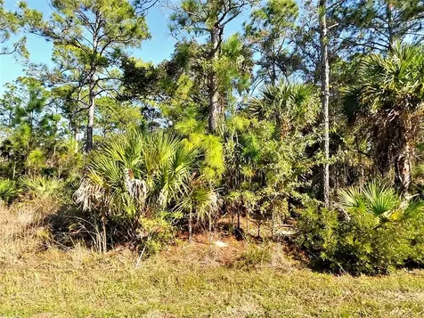 Lot 29 Hazelton Avenue North Port FL 34286