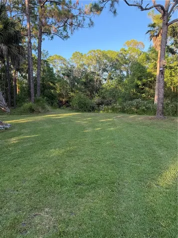 12385 79th Street Fellsmere FL 32948