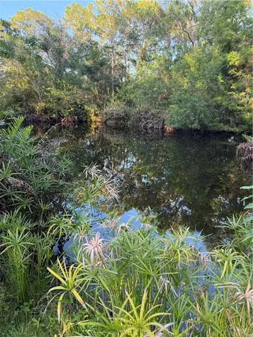 12385 79th Street Fellsmere FL 32948