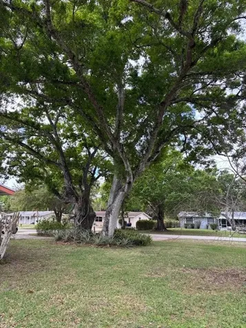 2726 49th Avenue Vero Beach FL 32966