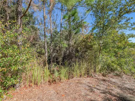 548 Saragassa Avenue SW Palm Bay FL 32908