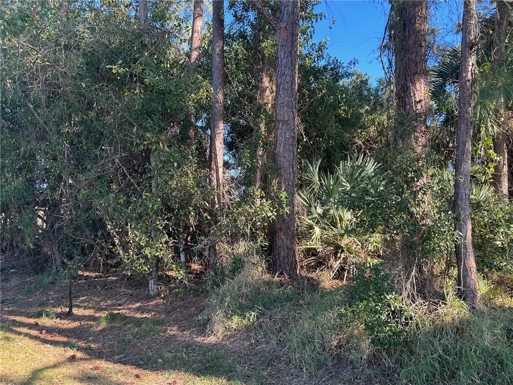 666 Tulip Drive Sebastian FL 32958