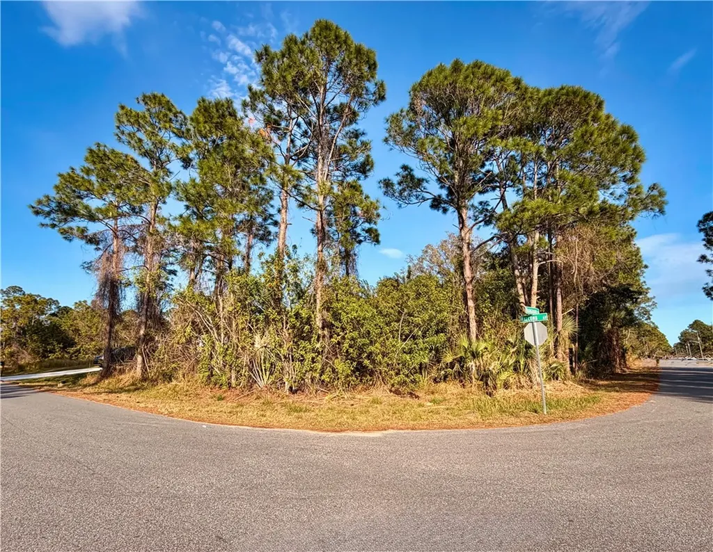 3135 SE Halcomb Avenue Palm Bay FL 32909