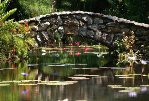 11 Vista Gardens Trail Vero Beach FL 32962