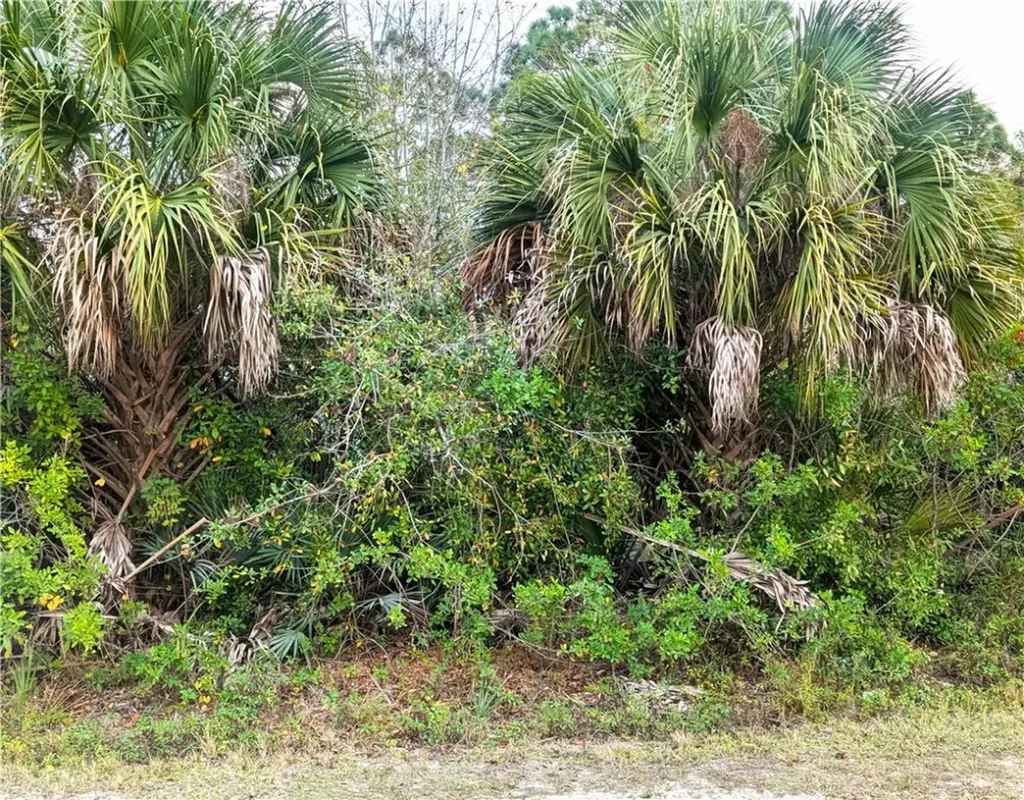 12885 86th Street Fellsmere FL 32948