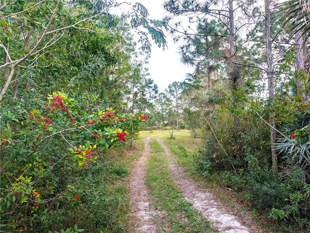 8590 130th Avenue Fellsmere FL 32948