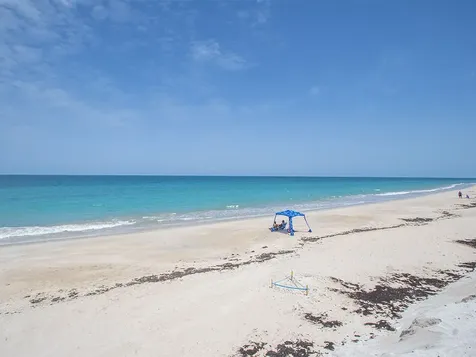 816 Acacia Road Vero Beach FL 32963
