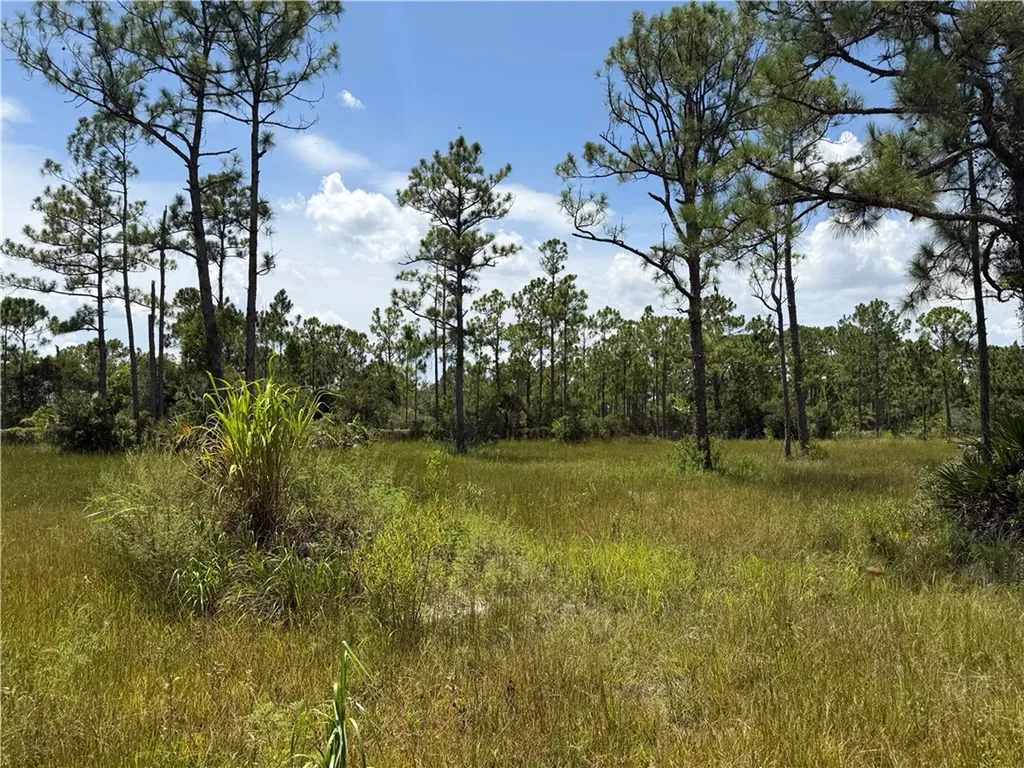 13180 83rd Street Fellsmere FL 32948