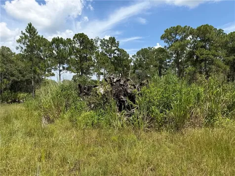 13180 83rd Street Fellsmere FL 32948