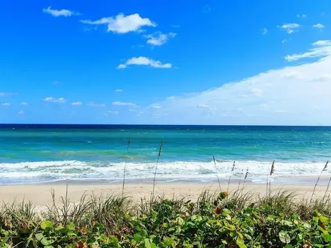 8830 S Sea Oaks Way Vero Beach FL 32963