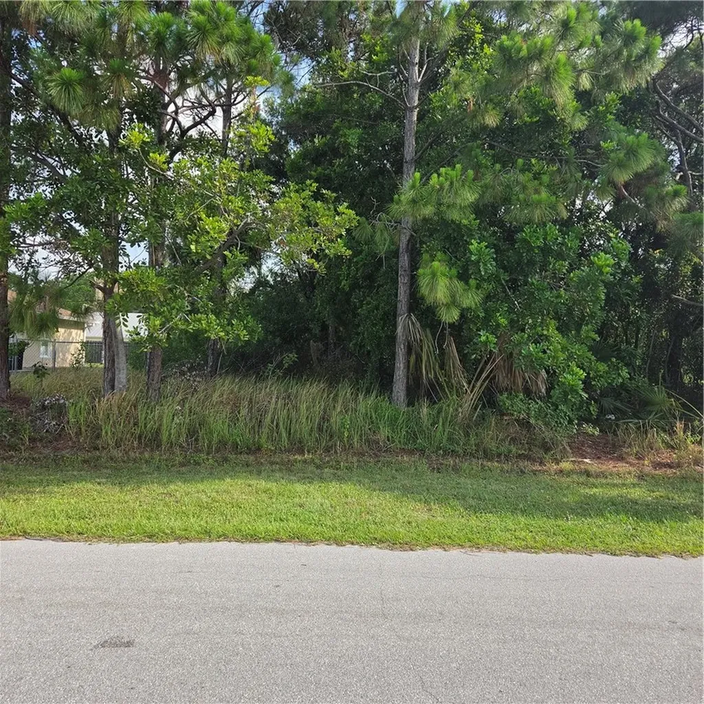 1025 SW Aswan Avenue Port St Lucie FL 34953