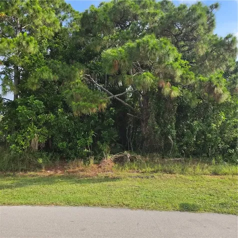 1025 SW Aswan Avenue Port St Lucie FL 34953