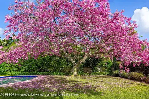 334 Barton Avenue Palm Beach FL 33480
