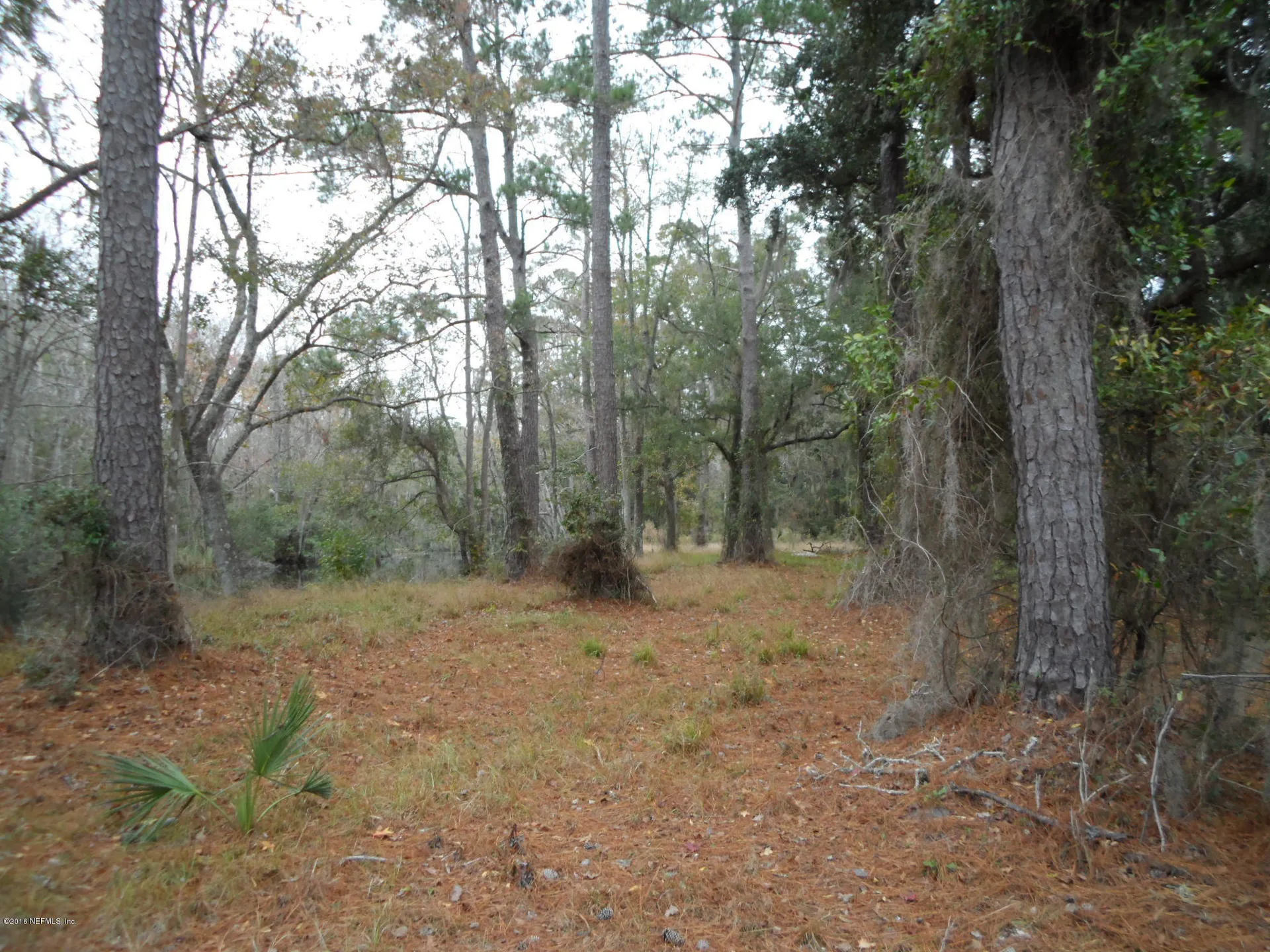 2312 Pages Dairy Road Yulee FL 32097